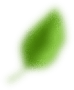 Bottom Leaf
