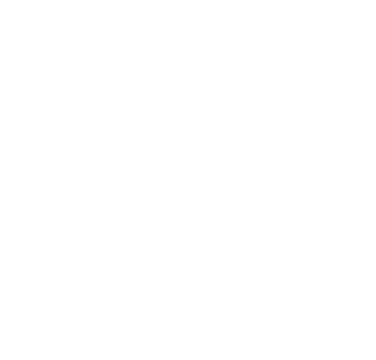 Polygon 8(1)
